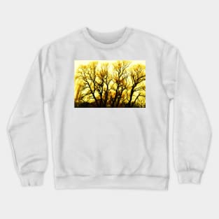 Don't Weep, Dance Crewneck Sweatshirt